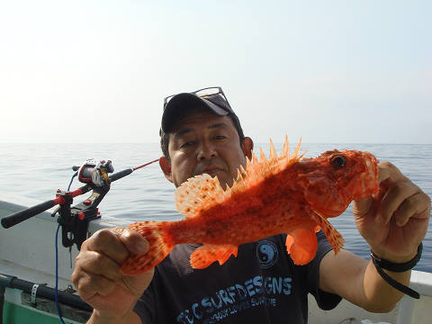ガシラ・オニカサゴ
