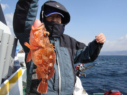 ガシラ・オニカサゴ