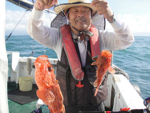 ガシラ・オニカサゴ