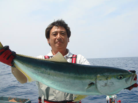 メジロ・ブリ