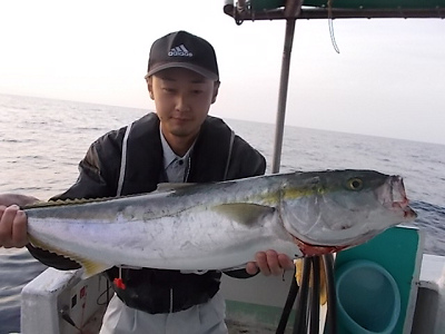 ブリ