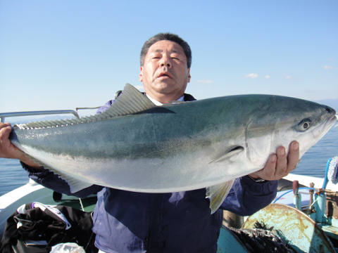 メジロ・ブリ