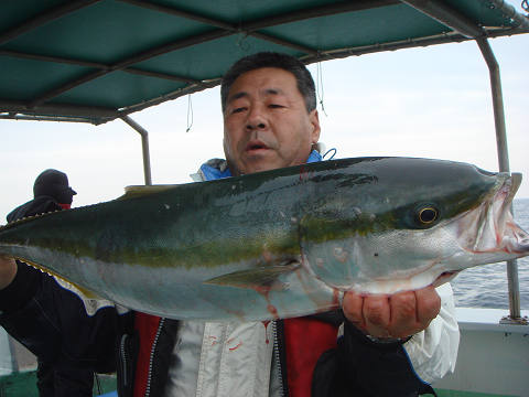 メジロ・ブリ