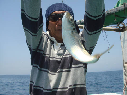 アジ
