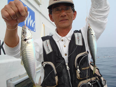 アジ