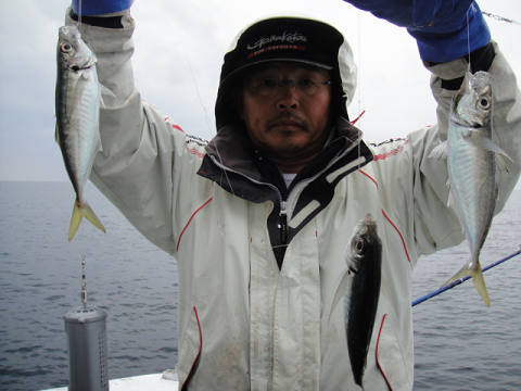 アジ