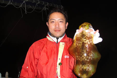 アオリイカ