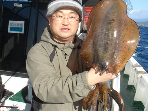 アオリイカ