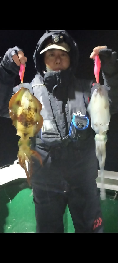 アオリイカ