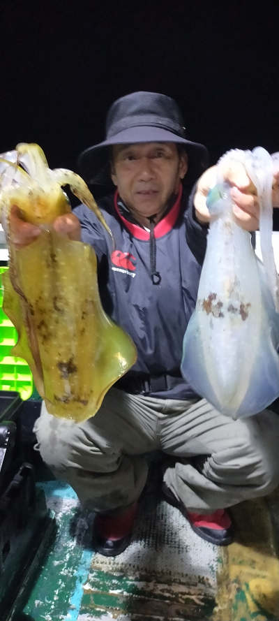 アオリイカ