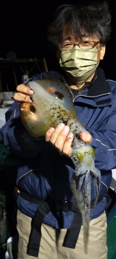 アオリイカ
