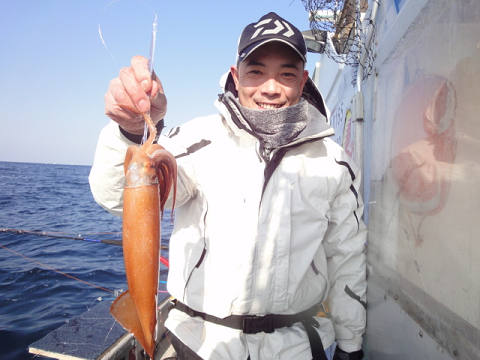 スルメイカ