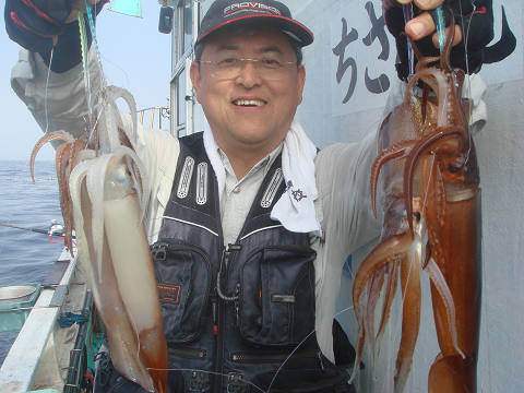 スルメイカ