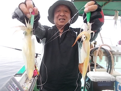 ケンサキイカ
