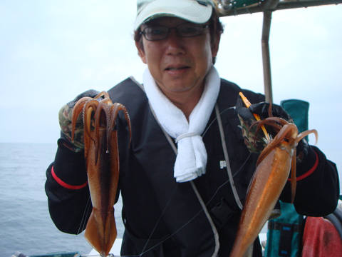 スルメイカ