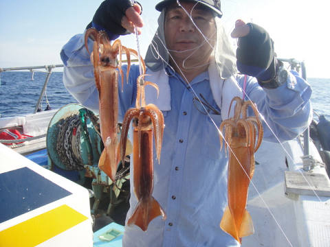 スルメイカ
