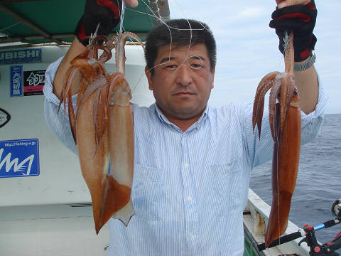 スルメイカ