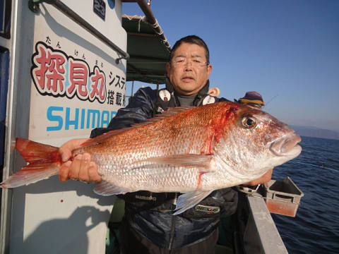 真鯛
