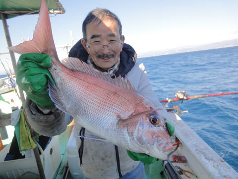 鯛