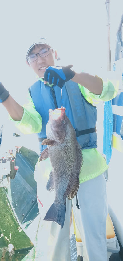 オオモンハタ