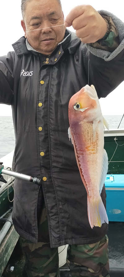 アマダイ