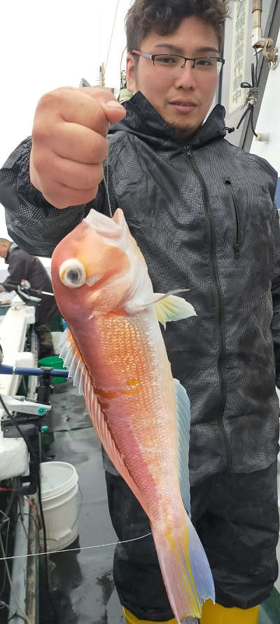 アマダイ