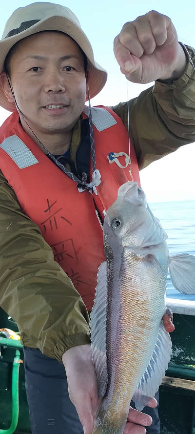アマダイ