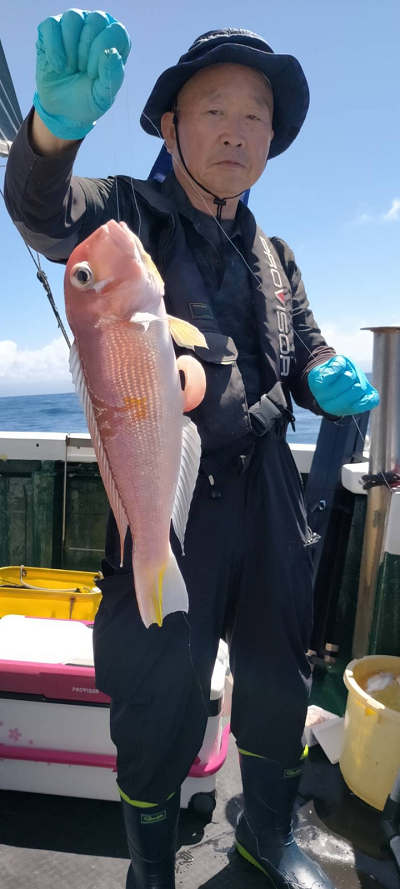 アマダイ
