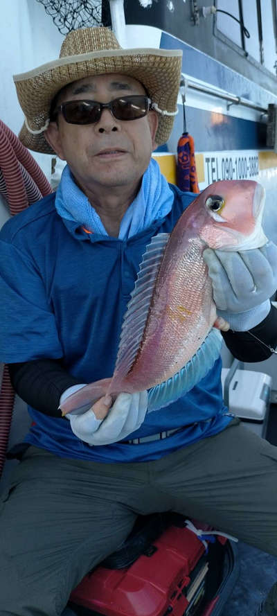 アマダイ