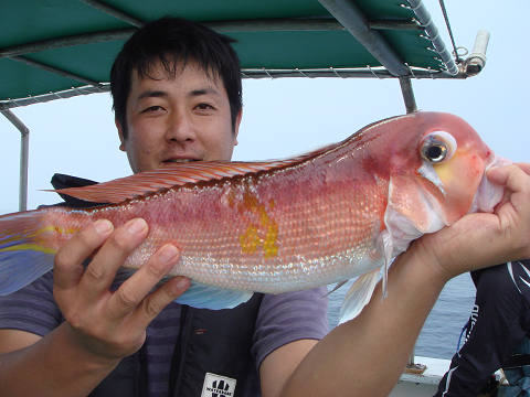 アマダイ