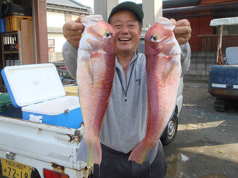アマダイ