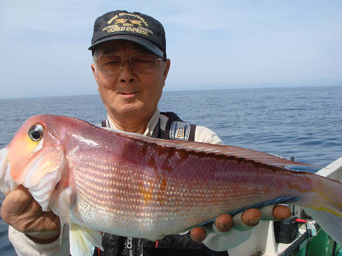 アマダイ