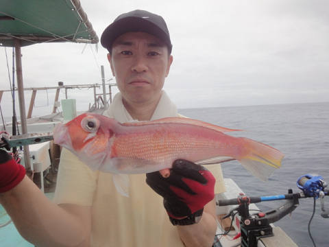 アマダイ