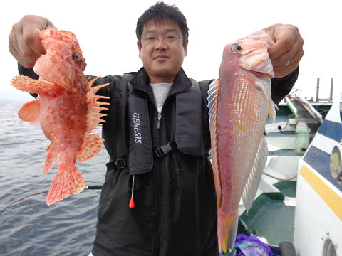 アマダイ