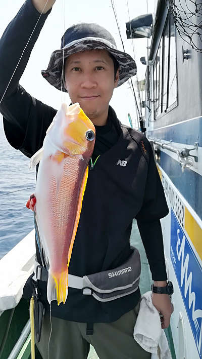 アマダイ