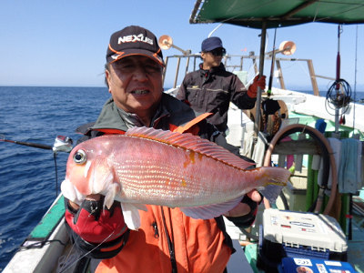 アマダイ
