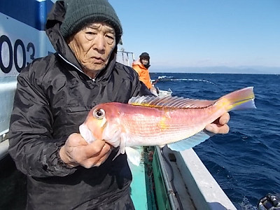 アマダイ