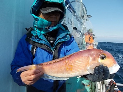 アマダイ