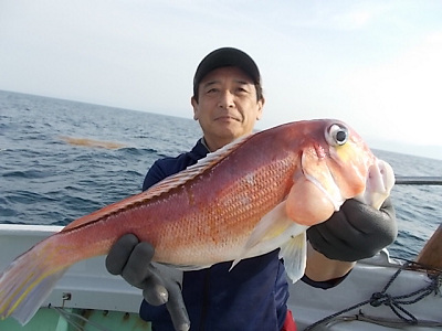 アマダイ
