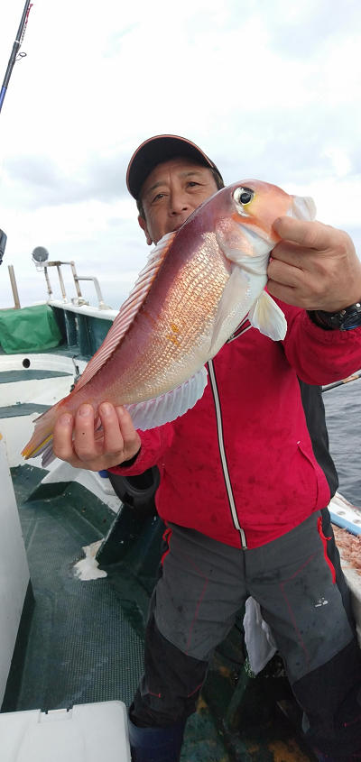 アマダイ