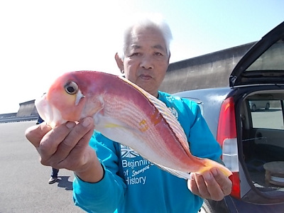 アマダイ