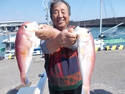 アマダイ