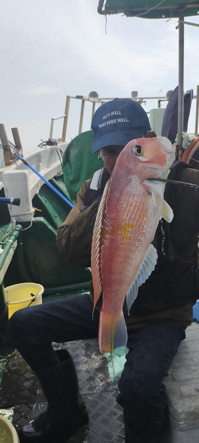 アマダイ