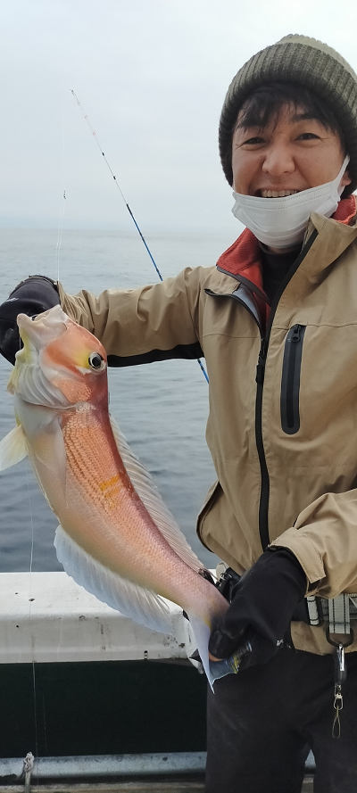アマダイ