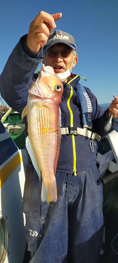 アマダイ