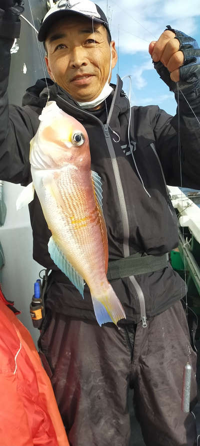 アマダイ