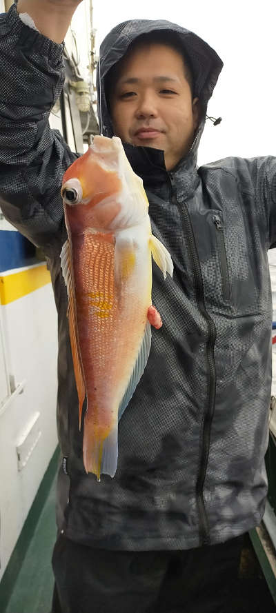 アマダイ