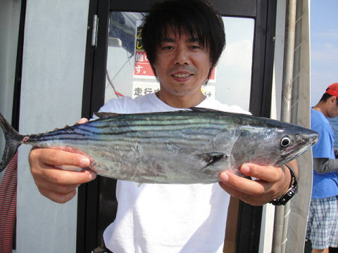 ハガツオ