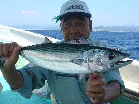 ハガツオ