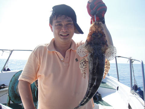 マゴチ